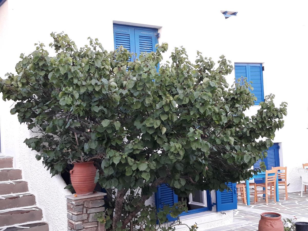 Holidays In Paros Alikí Zewnętrze zdjęcie