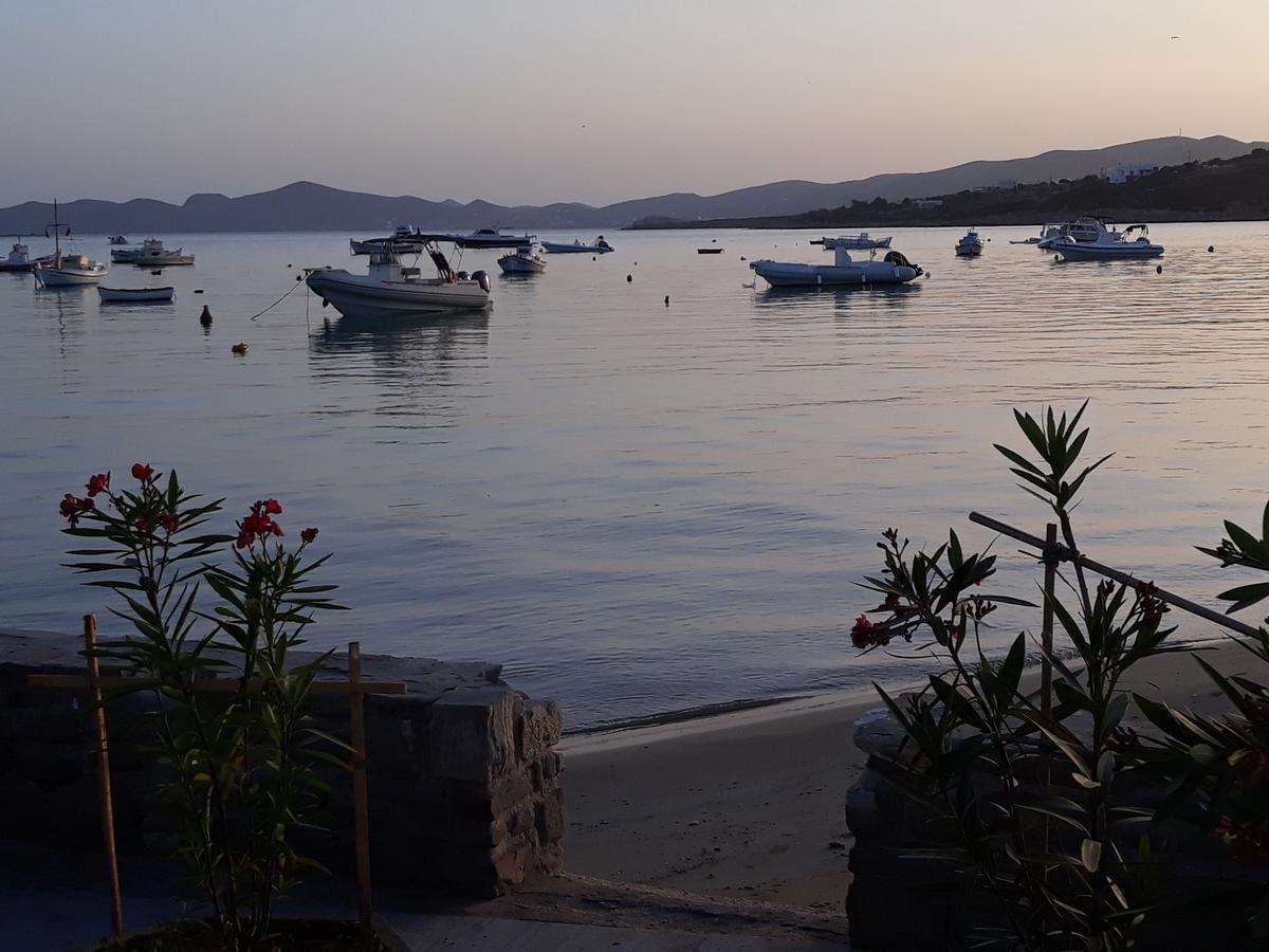 Holidays In Paros Alikí Zewnętrze zdjęcie
