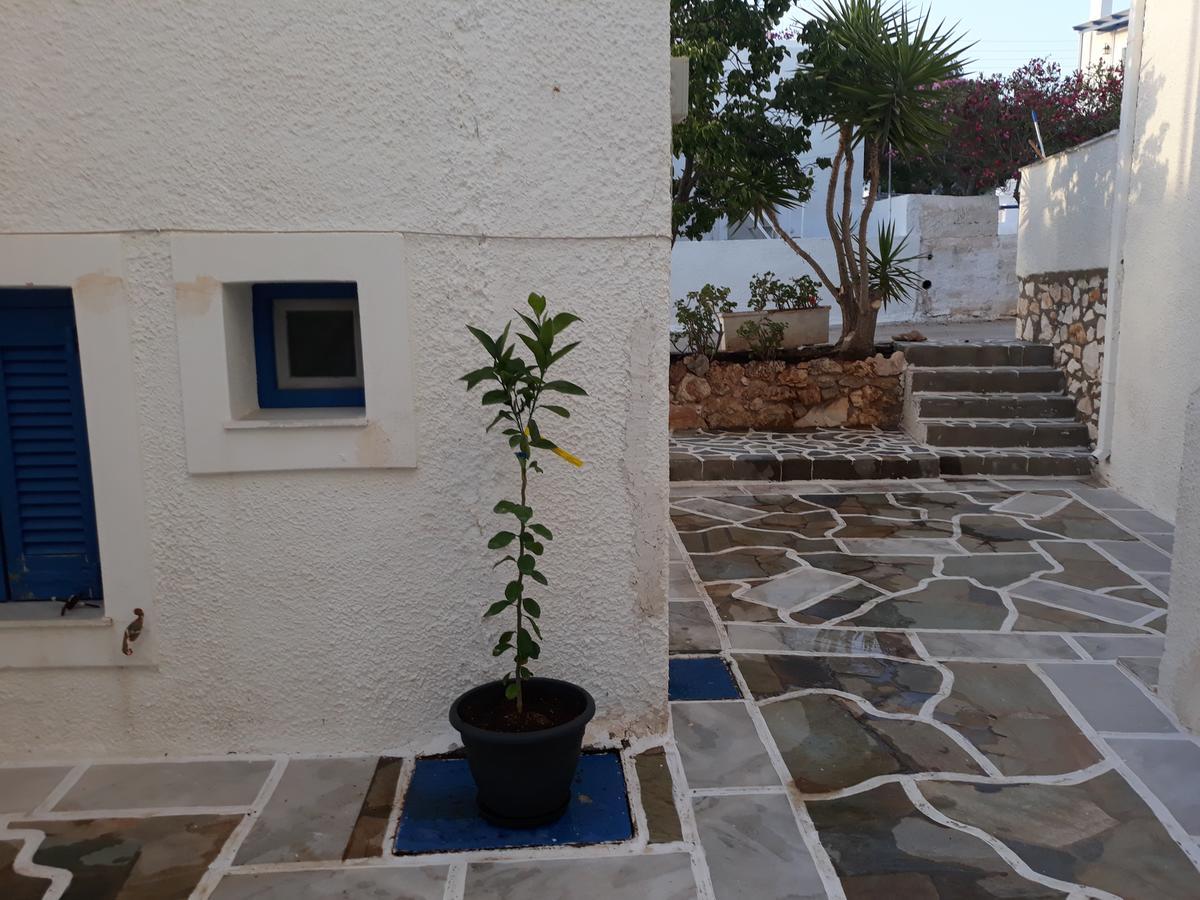 Holidays In Paros Alikí Zewnętrze zdjęcie